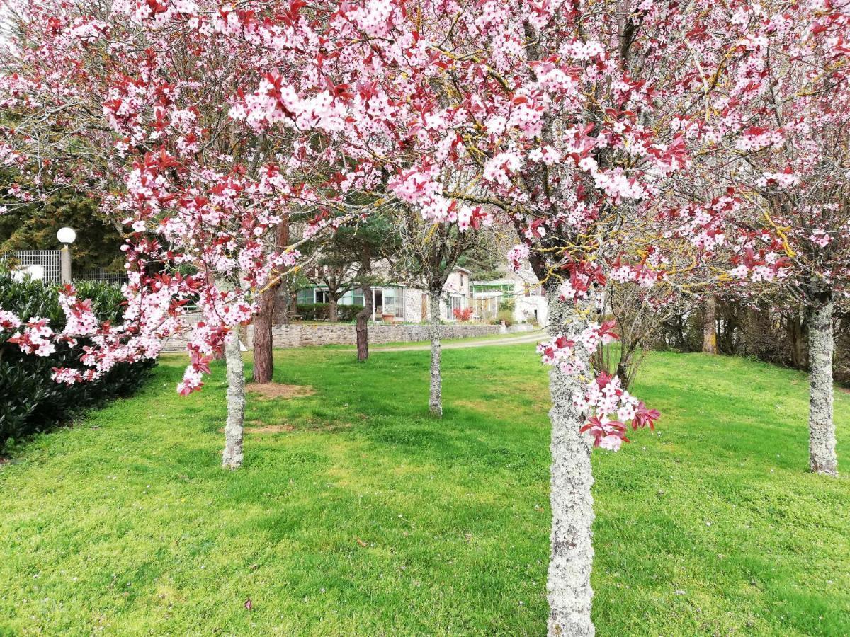 Domaine Des Goudis Bed & Breakfast Bouisse Bagian luar foto